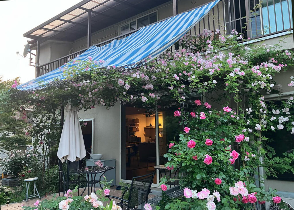 Rose garden
