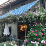 Rose garden